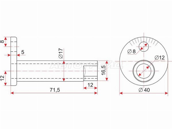 Эксцентрик нижнего рычага TOYOTA CALDINA /CAMRY /GRACIA /VISTA /CARINA /CORONA /HARRIER /KLUGER /MARK2 (SAT: ST-48409-32030)